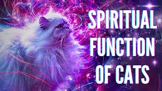Spiritual function of cats