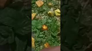viral video please sopat my file #masty time 💕😘 Hit song