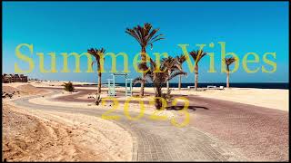 🍉Summer Vibes 2023🍉Chillout Lounge☀️DeepHouse Mix☀️