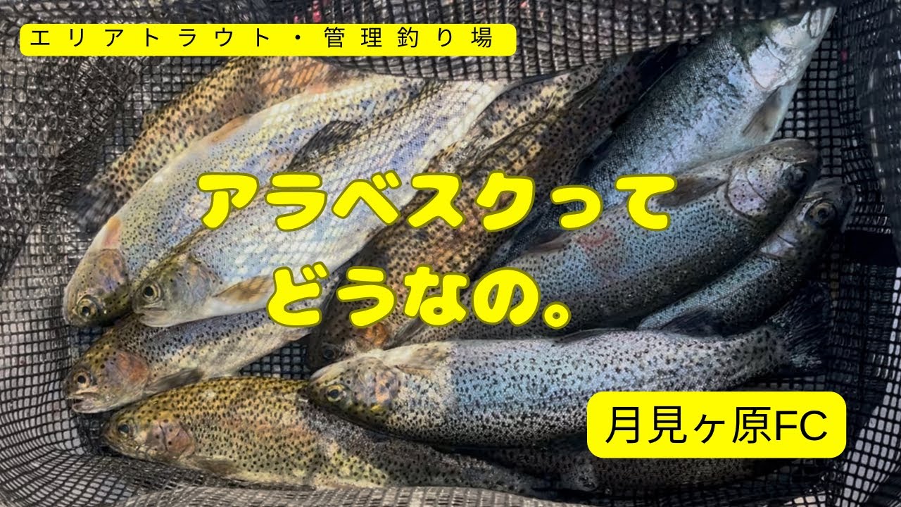 初心者でも釣れたよ。釣り座確保できずに岐阜まで来たよ。月見ヶ原フィッシングセンター【エリアトラウト・管理釣り場】