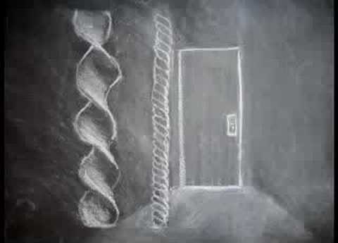 my animation