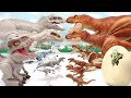 7 Tyrannosaurus VS 7 Indominus! Jurassic World Dinosaurus Battle 티라노사우루스 인도미누스 배틀