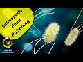 Salmonella Food Poisoning