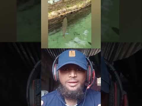 sila neeragalil เฎฎเฎฟเฎฐเฏเฎเฎฎเฏ เฎฎเฎฉเฎฟเฎคเฎฉเฎพเฎ เฎฎเฎพเฎฑเฏเฎเฎฟเฎฑเฎคเฏ But Human convert to monster ๐๐ #viralvideo