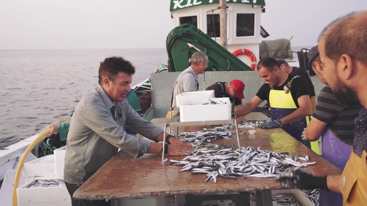 De Sol a Sol Oficis - Capítol 47. Pesca de la llum