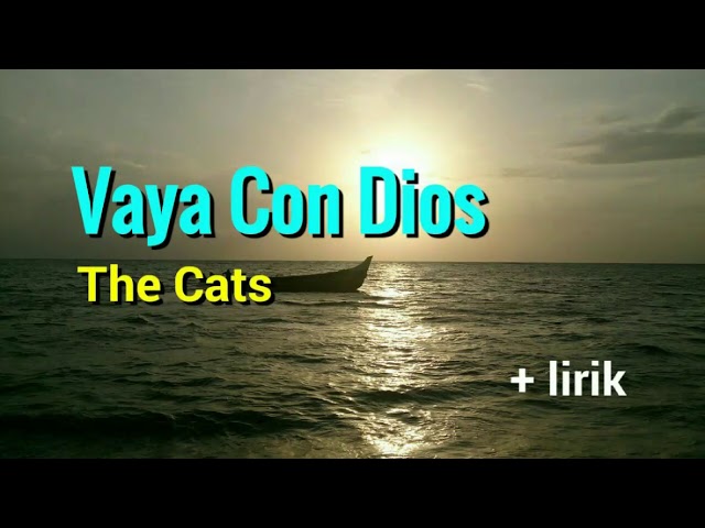 Vaya Con Dios  - The Cats lyrics class=