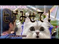【映画🎬室町無頼2】ヒゲきちゃない?せくしー?役作り中☆