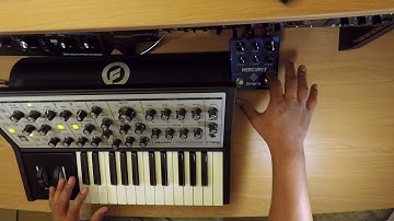 Moog Sub Phatty+ Meris Mercury7, New Favorite Reverb!