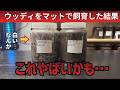 超高額種のウッディ(クワガタ)はマットでも大きくなるのか検証してみたら