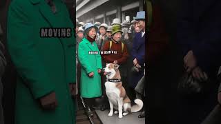 Hachiko: The Legendary Dog Who Never Gave Up  Dogs of History Ep. 001