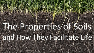 The Properties of Soils and How They Facilitate Life