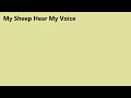 My Sheep Hear My Voice