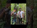 Catching Wolf Fish in a Creek in Guyana