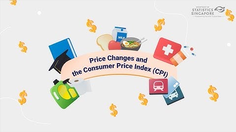 Price Changes and the Consumer Price Index