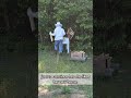 Adding frames + releasing queens. #keepingbees #beastandberryfarm #homesteadingfamily