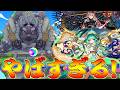 【モンスト】 最終回にしてとんでもない引きをする最強の神ガチャｗｗ
