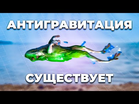 Видео: Всичко ли има магнитно поле?