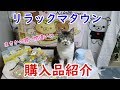 リラックマタウンで購入したイベント限定グッズを紹介☆猫と一緒に購入品紹介・グラニフコラボＴシャツ・あつめてぬいぐるみ