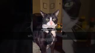 😂funny animal videos that i found for you #69😂 screenshot 4