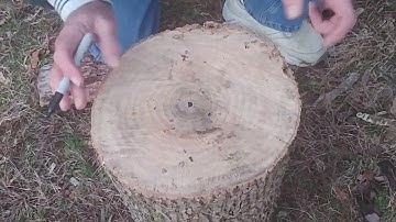 How to get a log ready for the lathe (Part 2)