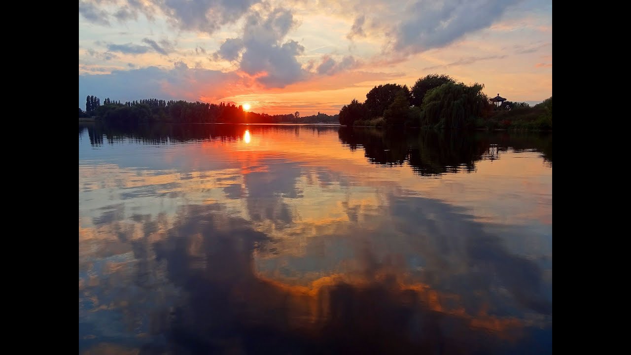 Viisikielinen 223 Sinun varaasi kaiken laitan