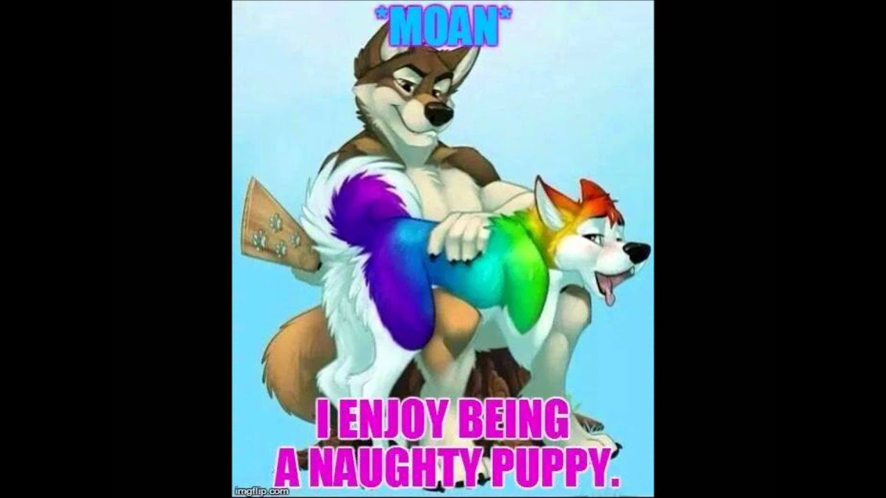 Gay Furry Eden Fumes Youtube