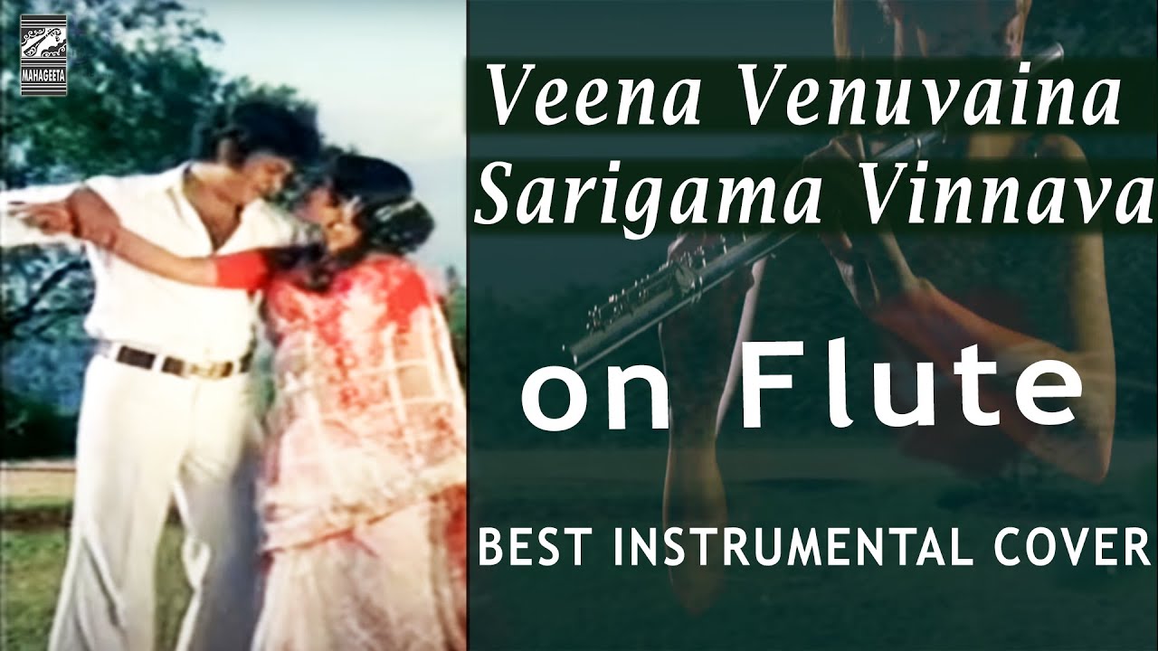 Veena Venuvaina Instrumental Cover I Superhit Tollywood Songs SPB, S