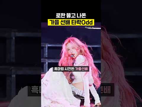 핑머오드 vs 흑발오드 #ive #가을 #odd