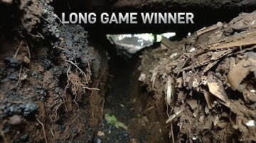Biochar vs  Cardboard? Which Wins the Long Game for Soil