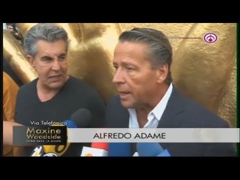 ¡No se retracta! "Andrea es una persona sin escrúpulos y con mala entraña": Alfredo Adame