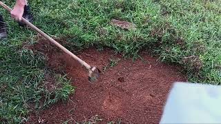 Removing Grass From A Large Area In Houston