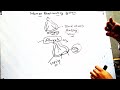 life processes part 6