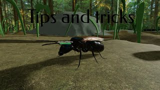 Tips and tricks to be a better alate in ant life v2