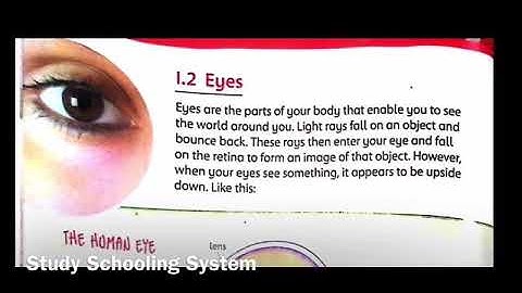 Online Video Lecture on Unit #1 Part 1.2 "Eyes" from Science Factor 3 by Ms.Laraib