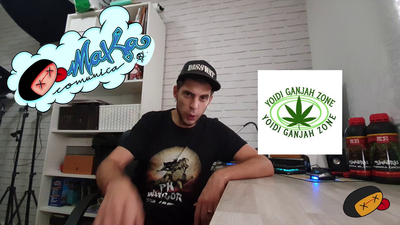 El nuevo canal de YOIDI Ganjah Zone y mucho más