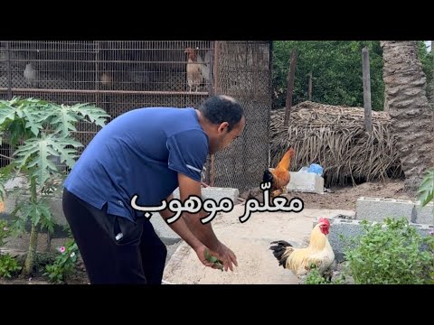 الم عل م الفاضل جميل عبدالله البصري فن ان وموهب