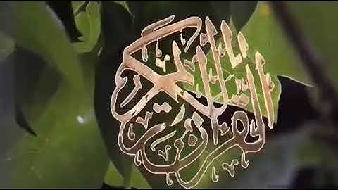 تلاوة مباركة طيبة، بصوت القارئ الشيخ - صالح الهبدان _ سورة محمد.