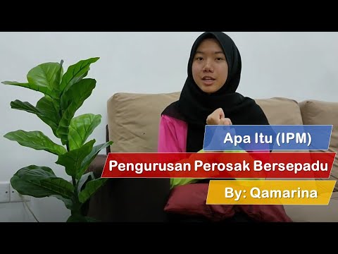 Video: Apakah pengurusan perosak dan penyakit bersepadu?