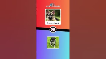 Ep. 28 | Would You Rather? #shorts