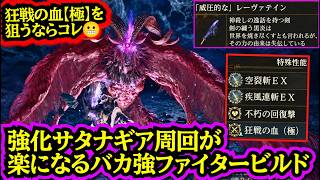 [For Those Who Want the Best End-Game Gear!] Insanely Strong Fighter Build to Easily Defeat Enhan...
