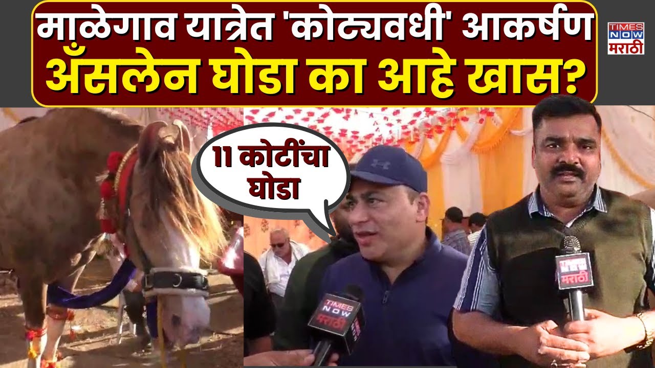 Nanded Malegaon Yatra: माळेगाव यात्रेत देशातील एकमेव घोडा, काय आहे खास?