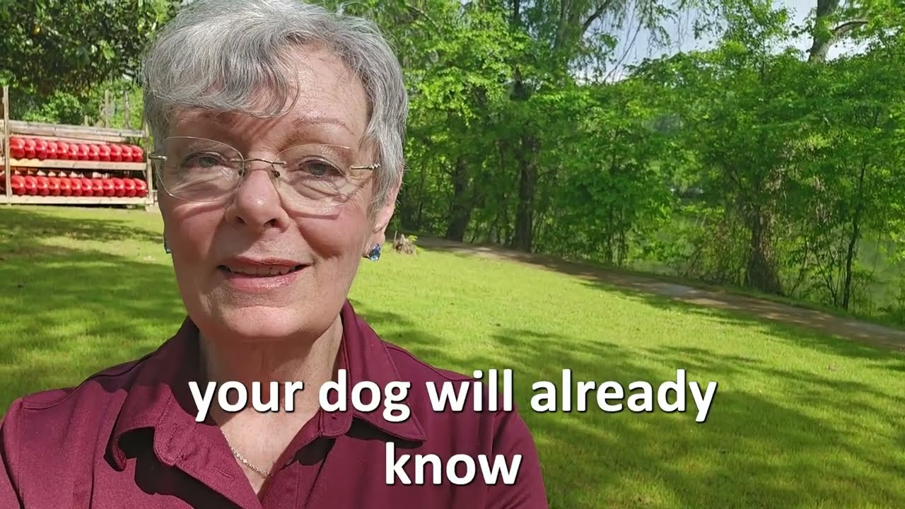 IW 4   Take Training on the Road - Sandy Weaver shows you how