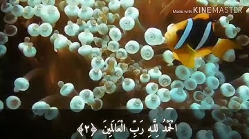 سورة الفاتحة وآيات من سورة الأحزاب بصوت الشيخ عبدالمجيد المالكي