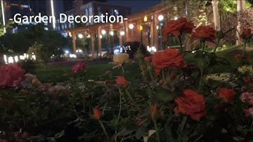 "Addlon Solar String Lights: Elevate Your Lifestyle with a Vibrant Touch | Illuminate your patio !"