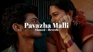 Pavazha Malli slowed  Reverb  Sai Abhyankar pavazhamalli