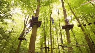 Fun Forest Amsterdam 2