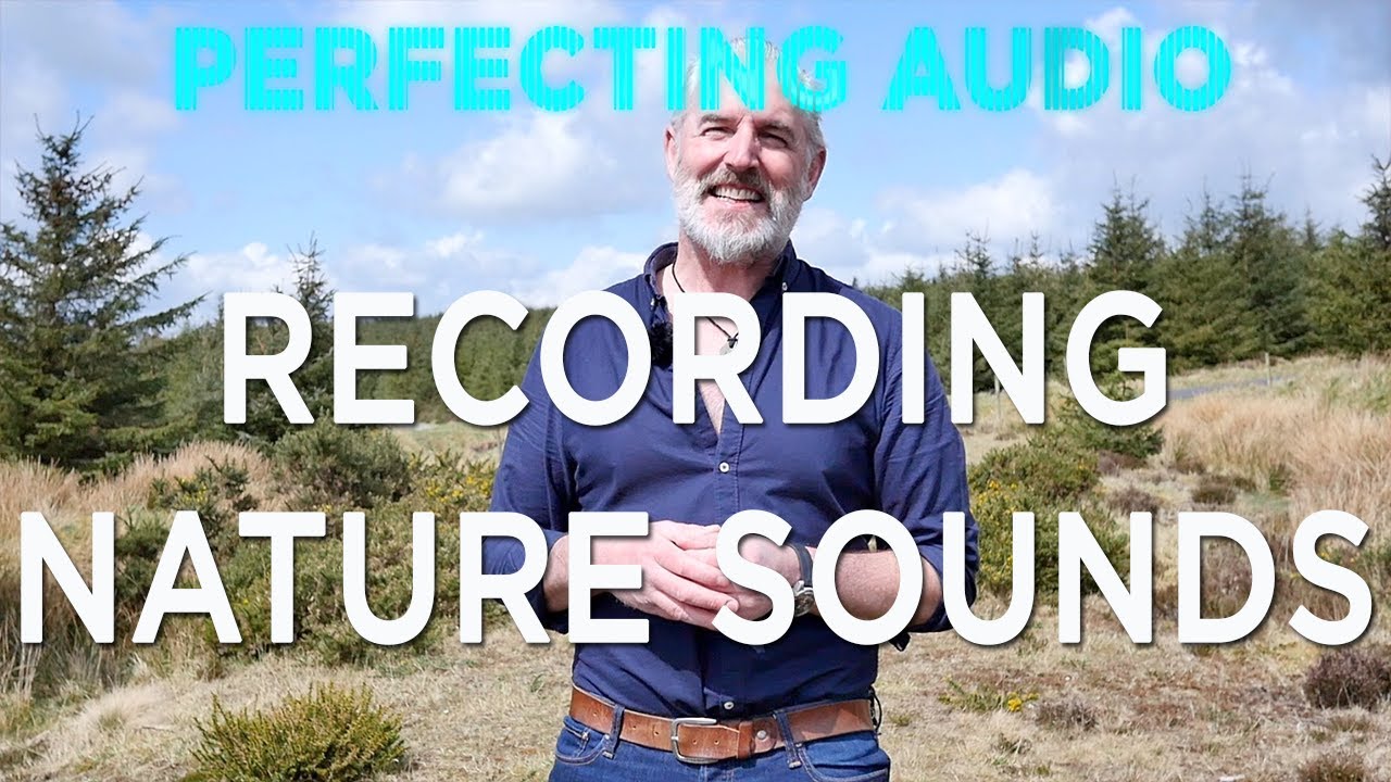 Recording Nature Sound Effects Perfecting Audio with Keith Alexander YouTube