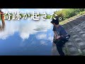 バズベイトの可能性が無限大。釣れ方がおかしい