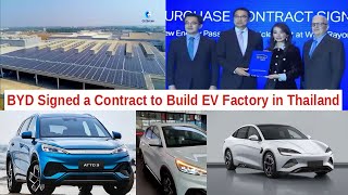 China’s BYD Signed a Contract to Build EV Factory in Thailand | BYD’s Rapid Growing is Remarkable
