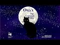 Onyx the Cruising Kitty